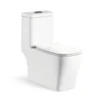 Middle Eastern Toilet Square Rectangular Elongated