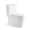 Western Toilet Bowl​ in Saudi Arabia