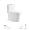 Western Toilet Bowl​ in Saudi Arabia dimensions