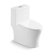 5 Star Toilet in Saudi Arabia for Project Sourcing