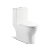 Toilet Sink Toilet Bowl Combination One Piece P Trap