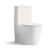 Toilet Sanitary Ware in Saudi Arabia P Trap