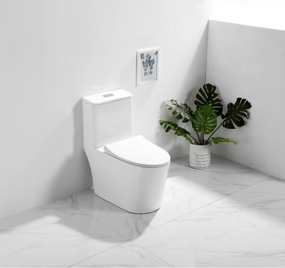 siphonic one piece bidet toilet