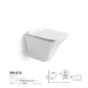 Wall Mounted Toilet Bowl​ Concealed Tank Washdown Flush size chart
