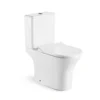 China Two Piece Toilet Factory Wholesale​​​