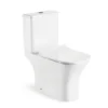 Floor Standing Two Piece Toilet Wholesale