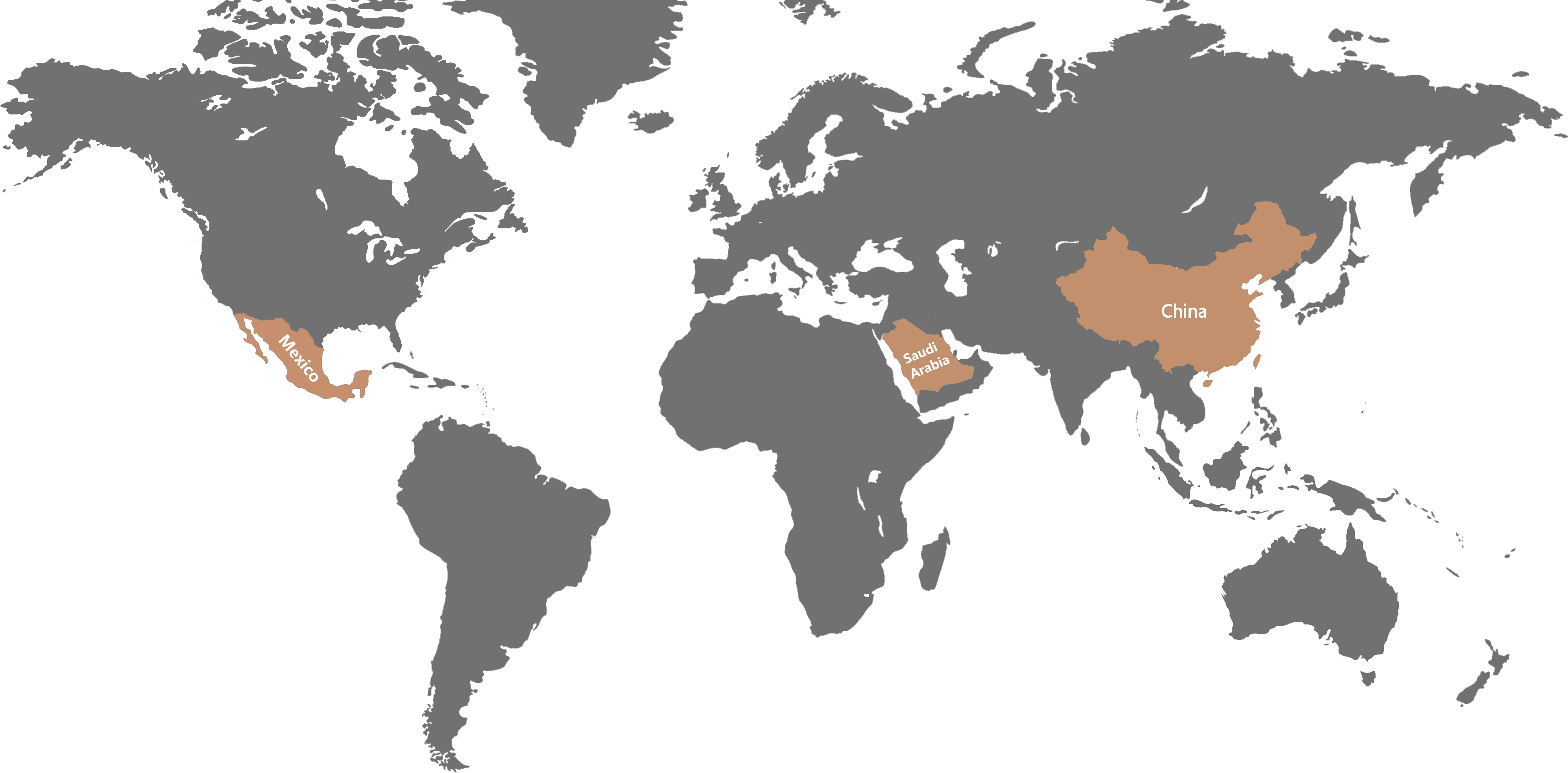 yida-Global Map