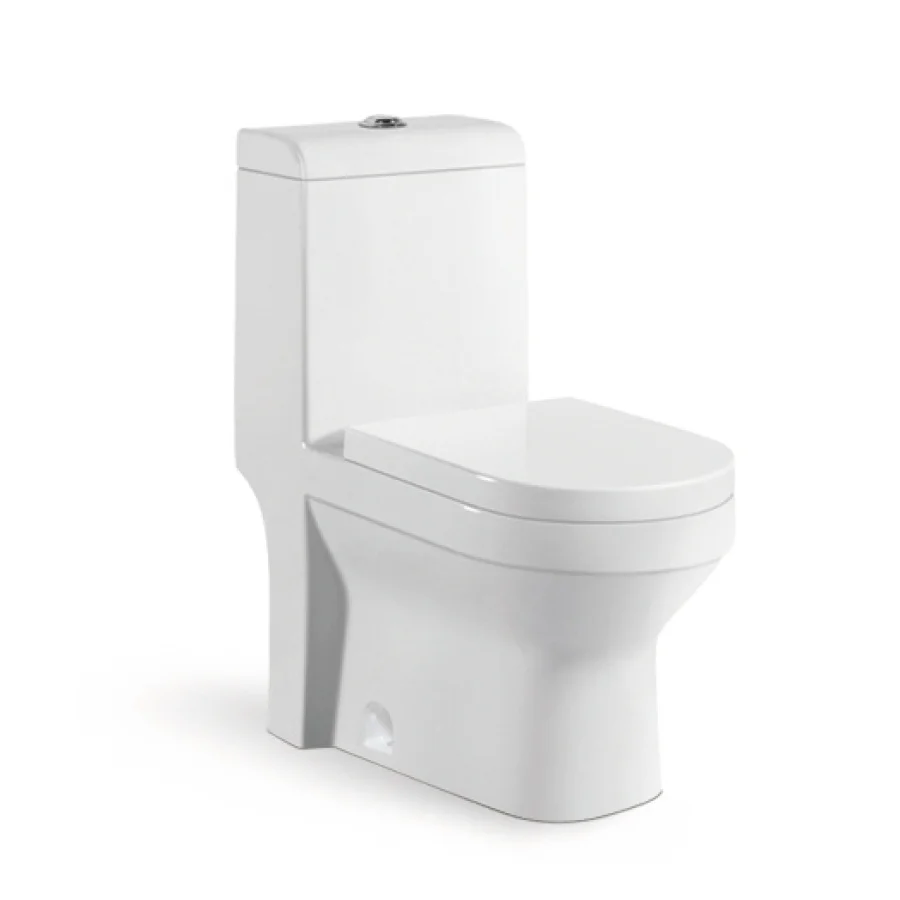 SASO Certified 8010 One-Piece Washdown Toilet, OEM for Knowledge Economic City, Al Othaim, Heyazah