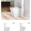 Bathroom Ceramic Toilet
