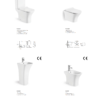 CE Certified 1039A Washdown Two-Piece Toilet, Dual Drain P-Trap 180mm & S-Trap 250mm, Modern Bathroom WC